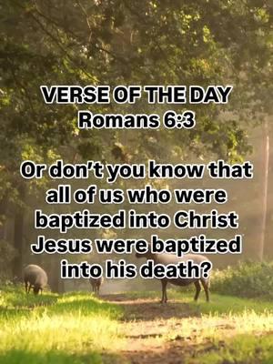 VERSE OF THE DAY Romans 6:3  Or don’t you know that all of us who were baptized into Christ Jesus were baptized into his death?  #thursdaythought #bible #bibleverse #bibleinspiration #biblestudy #verseoftheday #unstoppablefaith #friendship #stayencouraged #beinspired #JesusChristisLord #dailydevo #motivation #fyp #creatorsearchinsights #christiantiktok #christiantiktokcomunity 