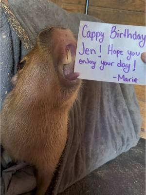 Pumpkin the capybara would like to wish you a very Capy Birthday @jennifersutton0102 🥳 PS - capygrams are edible!  #capybara #capybaras #capybarasforever #funny #funnyanimals #funnyvideos #capybaratiktok 