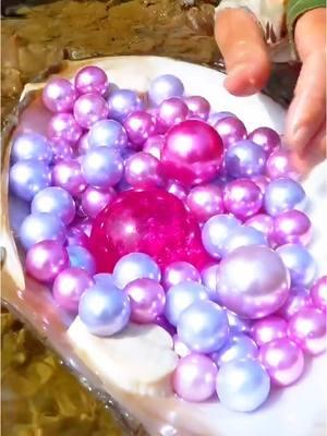 🎁🎁Giant clams, enchanting purple pearls #pearl #pearlhunter #seafood #jewelry #pickingpearls #huntingpearl #fyp #foryou #tiktok 