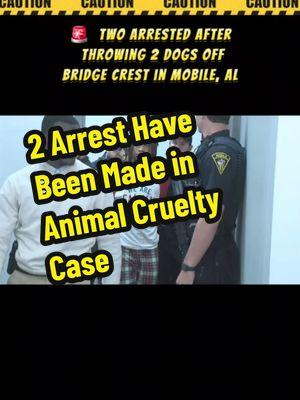 Two arrests have been made in tan animal cruelty  investigation after 2 dogs were thrown from Dog River Bridge in Mobile, Alabama. Tavoris Gallery, 18, and Mary Rivers, 71, were arrested and transported to Metro Jail after an investigation. A desperate search to save two small dogs that had been deliberately tossed into the cold water.  Two arrests have been made for animal cruelty. Both dogs are now safe in #fosterhomes , unknown if they are within an dog rescue. #fyp #animalcruelty #animallover #crime #mobile #news #arrested #foryourpage #dogs #pets #crimesagainsthumanity #crimestory 