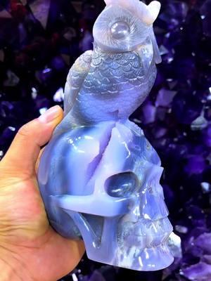 Druzy agate skull with owl 🦉 #crystalcarvings #crystalshop #crystalcarving #crystalsculpture 