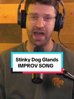 Stinky Dog Glands | IMPROV SONG #improv #song #stinkydog #musicalmonday #improvbroadway 