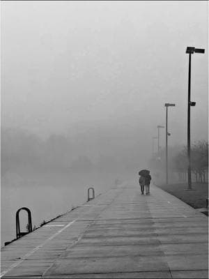 My goal for 2025: take more street photography  Even better if it’s artsy fartsy like this 😏🤭  . . #newphotographer #photography #streetphotography #foggyweather #moodyaesthetic #chicago #chicagophotographer 