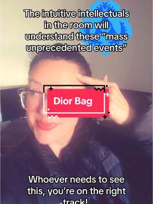 #diorbag #diortok #dior #fyp #bethanyfrankel #hollywood #collective #carringtonevent #leaders 