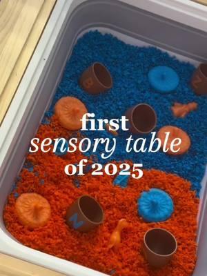 The holidays are over! It’s time to get back to our sensory bin activity 🥰 @Playfoam Official x @Educational Insights are a hit in our house.we love adding @Learning Resources alphabet acorns as well #pluffle #pluffleplayfoam #playfoam #educationalinsights #sensoryactivities #sensorytable #sensorybin #sensorytoy #learningresources 