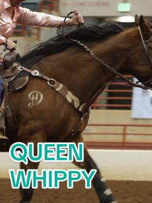 Queen Whip picking up a nice paycheck at the Jingle Bell Classic in Perry, Georgia 👑  📸 @Jared Searcy   🐴 @Dun Hollow  👚 @The Ranch Equestrian Apparel (use discount code: CAROLANN10) #sterlingelza #theranchequestrianapparel #jaredsearcyphotography #barrelracing #barrelracer #performancehorse #rodeo #jackpot #fastmanswhisper #equinety #redingoteequestrian 