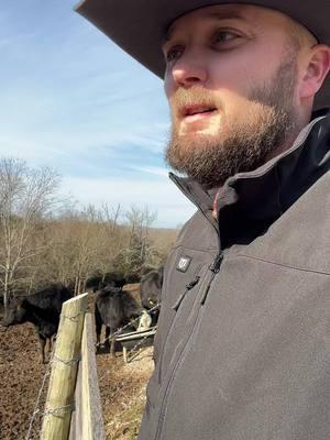 #farm#cattle#hay#silage#goals