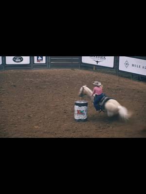 @Carlee Otero making a flawless run at the #StockyardsRodeo in the #FortWorthStockyards #NORTHSIDE #CowtownColiseum #FortWorthRodeo #Rodeo #letsrodeo #cowtown #GIDDYUPSTOCKYARDS #longlivecowgirls #longliverodeo #fast #cowgirl #cowgirls #barrels #barrelracer #barrelhorse #barrelracinglife #barrelracerland #horse #horses #horsepower #horselover #ilovemyhorse #barrelhorsenews #barrelracers #rodeotok #rodeotiktok #fyp #foryou #foryourpage 