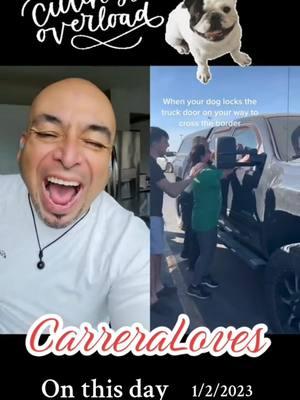 #onthisday Omg!! #fyp #carreraloves #carreralaughs #Love #lovethis #omg #wow #tearsofjoy #blessed #voice #amazing #duet #greatsong #blessed #blessher #iloveyou #imhereforyou #marcocarrera #imhereforyou #thankyou #blindreact #awesome #OhNo #nooo #wtf #toofunny #kidsoftiktok #kiddos #kids 