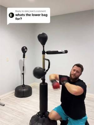 Replying to @idek_Ivàn Boxing Speed Trainer #boxingreflextrainer #boxingtrainer #boxing🥊 