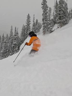 Current conditions are looking a little something like this ❄️😆 PS: Wanna learn how to ski in powder-- or need a refresher? Take a 60-Minute Pro Tips lesson to learn from our instructors (early mountain access included). Tap the link in profile to book today! #WinterParkResort #SnowReport #PowderDay