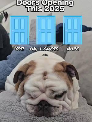 #openingdoors #2025 #predictions #Love #squishy #bulldog 