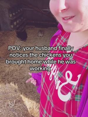 #fyp #foryoupage #homemaker #bigfamily #momof7 #staysthomemom #tradwife #familyof9 #stayathomemom #chickenmom #chickens 