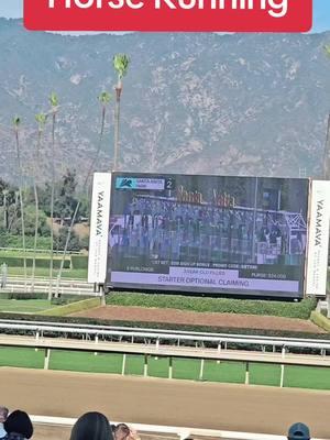 Horse Running #santaanitapark #creatorsearchinsights #horsesoftiktok #bwndiciones_para_todos🙌🙏 #horsetok #racetrack #delmarfair 