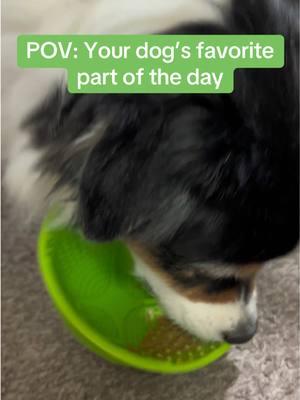 Every day’s a treat day! #tiktokmademebuyit #dog #dogtreats #lickmat #enrichmentfordogs @Mighty Paw  