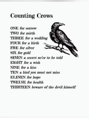 Am I The Devil?🤔 #crowmanofwaldport  #crows #crowmurder  #skypuppies 