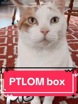 Check out this one from @Ptlom-US #ptlom #ptlomus #stainlesssteellitterbox #litterbox #phoenixandarizona #kittyloveclub #blackcatsrule #catsoftiktok #cats 