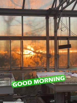 Awesome sight to come in and see every moring! The days are slowly getting longer and grow season is coming! Have a wonderful day! TANK ON! #sunrise #greenhouse #sun #sunlight #greenhouses #greenhouselife