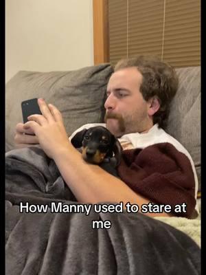 😭😂 #dogsofinstagram #miniaturedachshundpuppys #sausagedog #dognightroutine #sausagedogpuppy #miniaturedachshundpuppy #dachshund #tiktokdogs #weekend #sausagedogs #dachshundaddict #miniaturedachshundpuppys #dachshundsoftiktok 