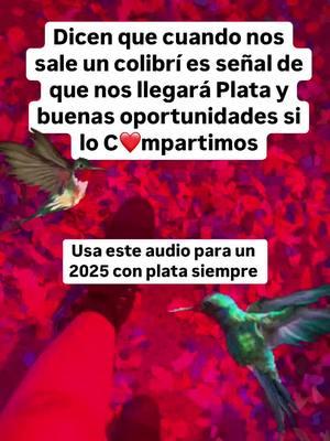 #mensajesdeluniverso #leydeatraccion #audioviralentiktok #colibri 