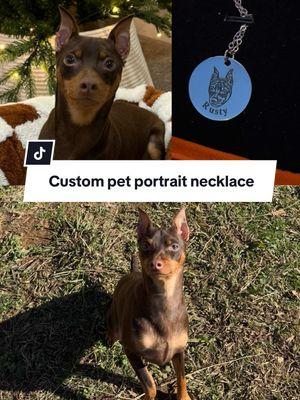 @iPetprints.official custom pet portrait necklace is such a beautiful gift and way to honor your beloved pets! #petlovers #dogsoftiktok #petportrait #petportraits #customjewelry #spotlightfinds #newyearnewaura #ipetprints #valentinesdaygiftideas 