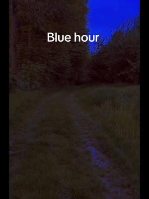 #bluehour 