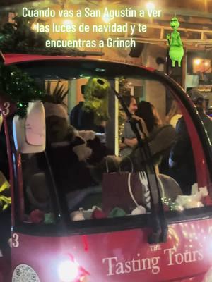 Grinch💚🎄 #sanagustin #florida #grinch 