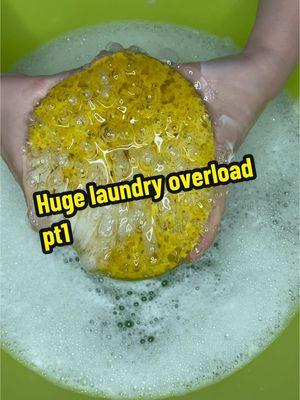 Hugeeeeeee laundry paid overload by @Stephanie_Samaraxo pt1 #laundrytok #laundry #fyp #asmr #foryou #CleanTok #spongetok #viral #trending #satisfying #cleaninnmore #cleanwithme #productdump #productsyouneed #spongesqueezing #laundryoverload #overload #roma #murphysoil #pineglo 