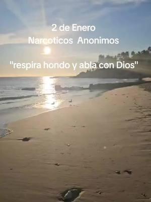 #soloporhoy #Narcoticosanonimos #dellibrosoloporhoy #literaturadena #na #gruposdena #Dios #recuperacion #podersuperior 