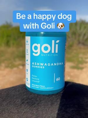 Be a chill dawg with Goli Ashwagandha #goli #chillguy #chilldog #dog #TikTokShop #clearence #newyearssale #ashwagandha #newyearnewme 