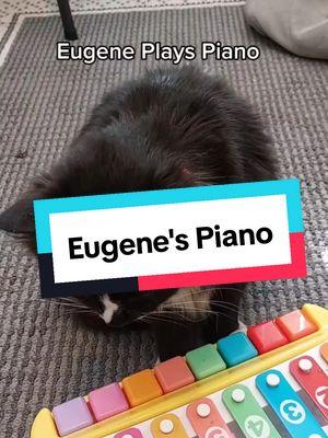 #onthisday One time, Eugene played his piano just for scritchies and not treats #crazycatdad #catdad #tuxedocat #tuxedocatsoftiktok #cattricks 