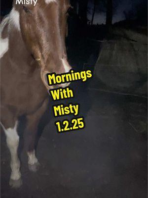 #morningswithmisty #oldmare #paintpony #hearthorse #mysolace #lifewithhorses #horsemomlife #funkranch #seniorhorselife #shesstillhere #pnwlife #fyp 