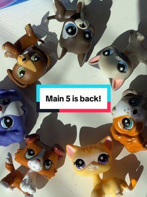 The new main 5 pets are here! Which is your favorite, thoughts and opinions?!  #lps #littlestpetshop #lpsg7 