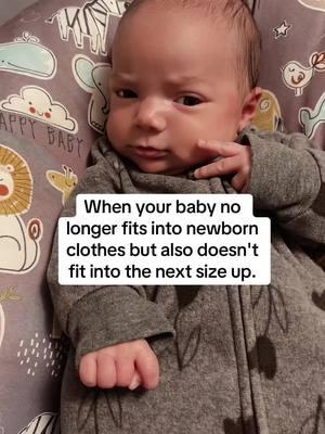 #fyp #270 #kywolflickfam #newborn #sealegs #ltdan #foryoupage #raelee #baby #babiesoftiktok #funny #kid