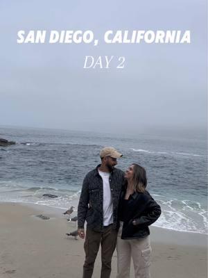 Day 2 San Diego vlog ✨ We explore the La Jolla area ☀️🦭 #sandiego #lajolla #lajollasandiego #california #travelvlog 