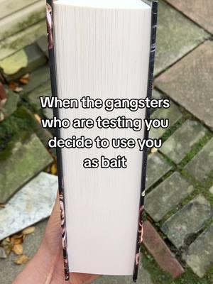 The gang princess won’t be tamed 🔥 Crooked Paradise by Eva Chance & Harlow King #darkromance #reverseharembooks #enemiestoloverstrope #mafiaromance #morallygrey #gangromance 