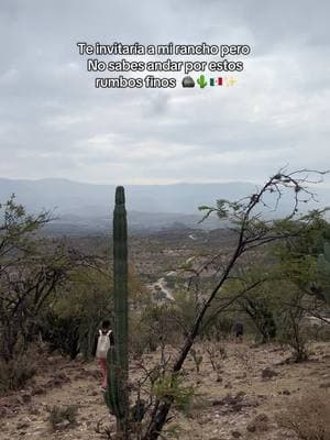 Quién sabe caminar pos estos rumbos finos 🪨🌵🇲🇽✨ #paratiiiiiiiiiiiiiiiiiiiiiiiiiiiiiii #mexico #zacatecas #fyp #mexicocheck #rancho #visitmexico #2024 #añonuevo #2025 #vivamexico 