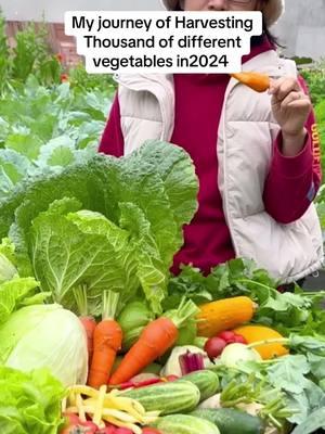 #creatorsearchinsights journey of harvesting millions of vegetables in 2024. #GardeningHacks #SustainableLiving #UrbanGardening #PlantCare #GardeningTips #EcoFriendly #OrganicGardening #HomeGarden #NatureLovers #GreenThumb #FYP #LifeHacks #TikTokMadeMeDoIt #Viral #ForYouPage #BakingSodaMagic #GardeningCommunity #Tiktok  #2025 #fyp #tiktok #LearnOnTikTok #viralvideos #trending #funnyvideos #Love #memes #duet #ForYou #ForYouPage #ThisIs4You #FYPage #SmallBusiness #shoplocal #supportsmallbusiness #smallbusinessowner #smallbiz #fitness #workout #fitnessmotivation #fitnesstips #MentalHealthAwareness #SelfCare #therapy #mindfulness #FoodLover #TikTokFood #FoodPorn #yummy #beauty #makeup #skincare #beautyhacks 