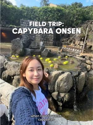 Would you visit the Capybara Onsen? ♨️🍊 This petting zoo is located in Shizuoka, Japan, a 3-hour train trip from Tokyo. Make sure to check their website for the hot spring schedule! 📍 @伊豆シャボテン動物公園【公式】  (Izu Shaboten Zoo) I’m a full-time animal artist 🌈 I visit lots of zoos & aquariums for inspo and vlog my experiences for my “FIELD TRIP” series! Follow along to see where we go next 🐯 #capybara #zoo #pettingzoo #animallover #tokyojapan #japantrip #animalartist 