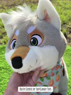 Dusty Coyote by SoftCandy Toys. Find more info about pre-ordering your own through our website ➡️ softcandytoys.com  #softcandytoys #mixedcandy #dusty #dustycoyote #coyote #toy #plush #soft #stuffedanimals #plush #plushie #furry #furries #furryfandom #fyp #latinvixen