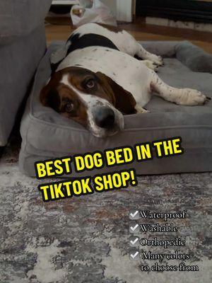 They had me at waterproof!!! Do you know how many beds I've had to go through because the foam inserts held the smell of puppy accidents. LOVE IT! #bassethound #dogbed #beauthebasset #orthopedic #waterproof #ttshopfind 