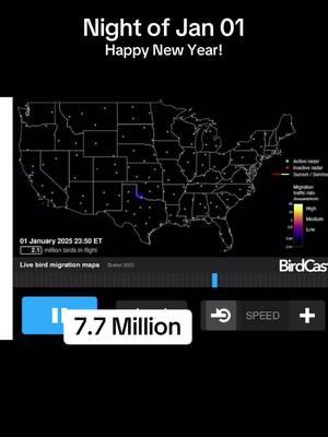 #happy2025 #january #birds #birdcast #cornell #dailyupdate #birdsoftiktok #science #audubon #numbers #data #outside #patterns #birders #habitat #migratorybirds #ducksunlimited #sierraclub #migration 