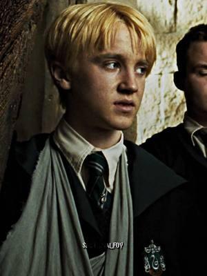 this class is ridiculous | #DRACOMALFOY #harrypotter #tomfelton #dracotok #draco #malfoy #dracomalfoyedit #tomfeltonedit #dracotok2020 #harrypotteredit #edit 