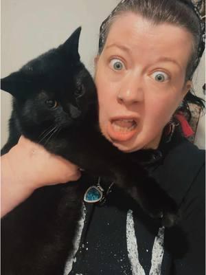 Maevis is such a good sport!😂😂😂😂 #blackcatsoftiktok #gothtok #gothwife #thissomebullshyt #mycatisgonnaunaliveme #youngestkittyboy #furparents #musiciansoftiktok #influencers 