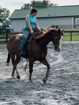 First ride back for this boy in over a month🫶🏻 #vflouisvuitton #barrelracing #barrelhorses #rodeo #rodeotok #rodeotiktok #foryoupage 