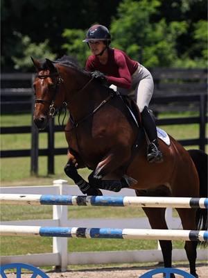 Our current obsession: Rich Burgundy 👀 @Ibach Media | Create & Connect #heyathletes #fyp #ROOTD #equestrian #TKEQ #horsegirl #hunterjumper #horsesoftiktok #SmallBusiness 