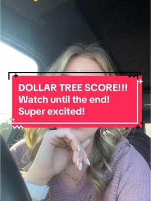 Huge Dollar Tree Haul!! #dollartree #dollartreefinds #shoppinghaul #score #hauls #foryoupage #fypage #pageforyou #fyp #fypシ #fypシ゚viral #foryoupageofficiall #MomsofTikTok #momsover30 @Dollar Tree @IONI Cosmetics @Bpure Skincare @BPure Skincare Official 