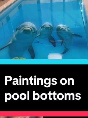 #submechanophobia #pools #swimming #swimmingpool #swimmingpools #orcas #sharks #dolphins #underwater #phobia 