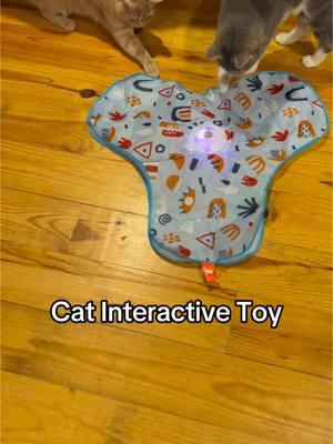 @Potaroma Pets Keep your sweet fur babies busy 🐈🐾🐈‍⬛ #interactivecattoy #cattoys #cattoy #catloversoftiktok 