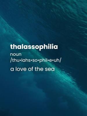 With so much ocean to love, its hard not to be a thalassophilic 🌊 Whats your favorite thing about the sea? #RainforestAlliance #Rainforests #Sustainability #Sea #Ocean #Thalassophilia